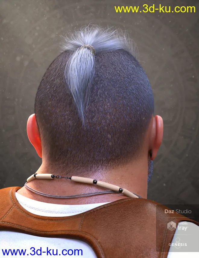 Top Knot Hair and Beard for Genesis 3 and 8模型的图片4
