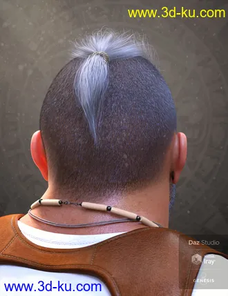 3D打印模型Top Knot Hair and Beard for Genesis 3 and 8的图片