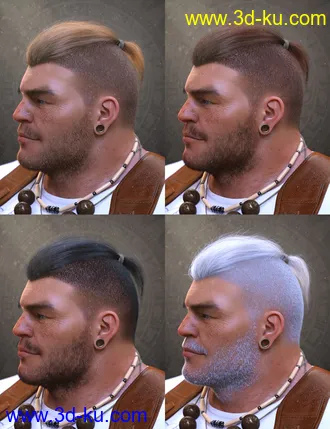 3D打印模型Top Knot Hair and Beard for Genesis 3 and 8的图片