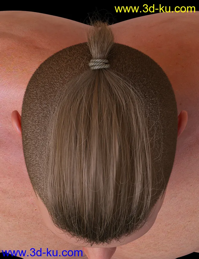 Top Knot Hair and Beard for Genesis 3 and 8模型的图片8