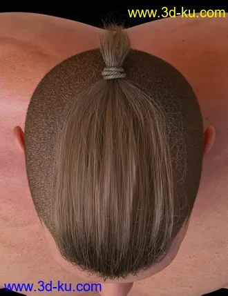 3D打印模型Top Knot Hair and Beard for Genesis 3 and 8的图片