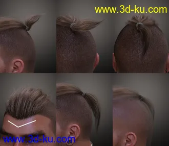 3D打印模型Top Knot Hair and Beard for Genesis 3 and 8的图片