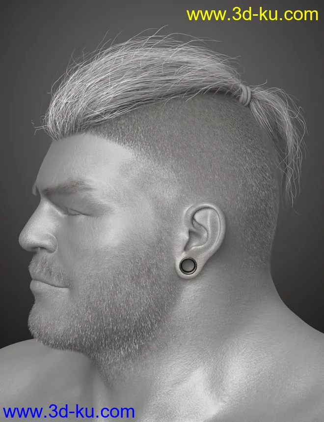 Top Knot Hair and Beard for Genesis 3 and 8模型的图片11