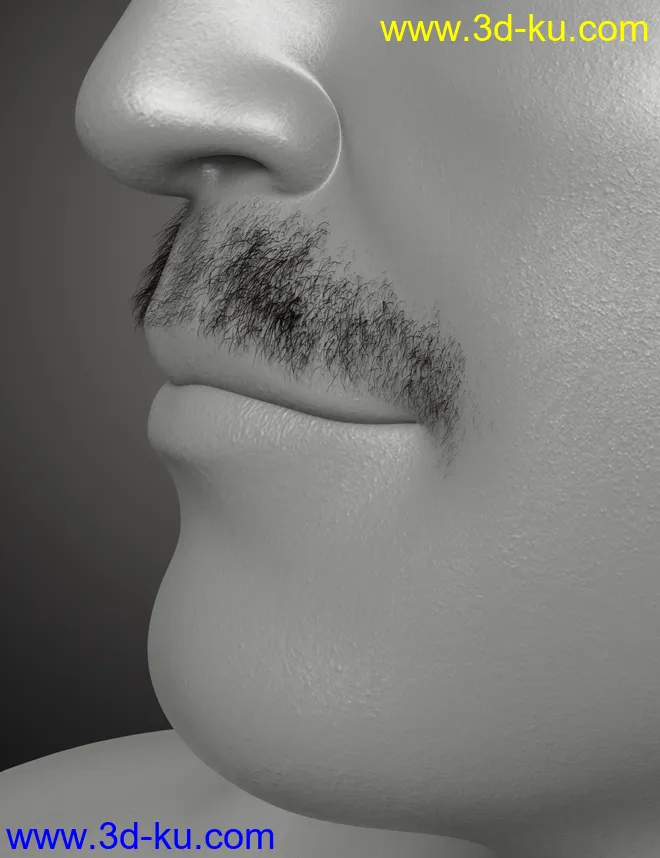 Top Knot Hair and Beard for Genesis 3 and 8模型的图片13