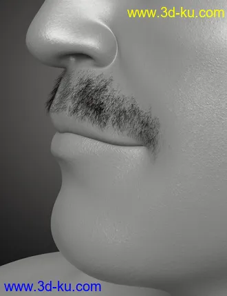 3D打印模型Top Knot Hair and Beard for Genesis 3 and 8的图片
