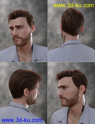 3D打印模型Trevor Hair Set for Genesis 8 Male(s)的图片