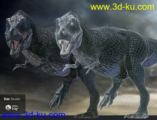Tyrannosaurus Rex 3模型的图片2