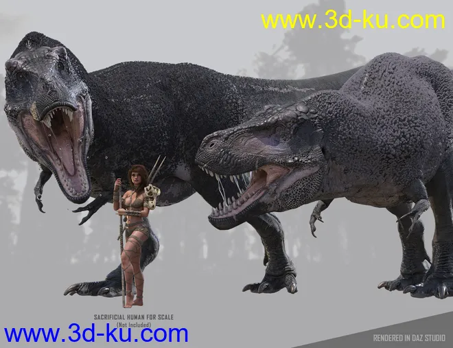 Tyrannosaurus Rex 3模型的图片5