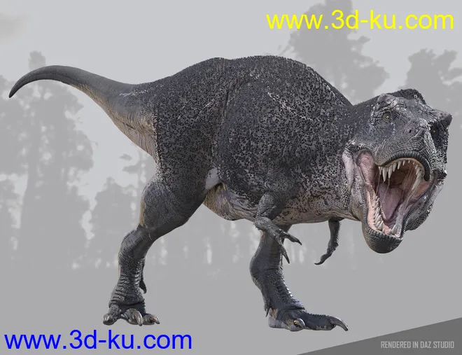 Tyrannosaurus Rex 3模型的图片6