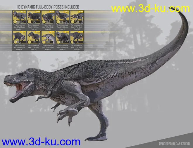 Tyrannosaurus Rex 3模型的图片8