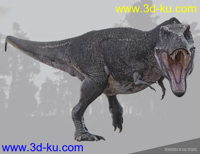 Tyrannosaurus Rex 3模型的图片9