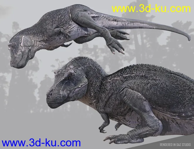 Tyrannosaurus Rex 3模型的图片11