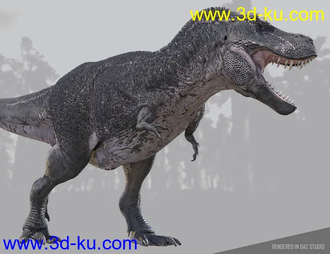 Tyrannosaurus Rex 3模型的图片12