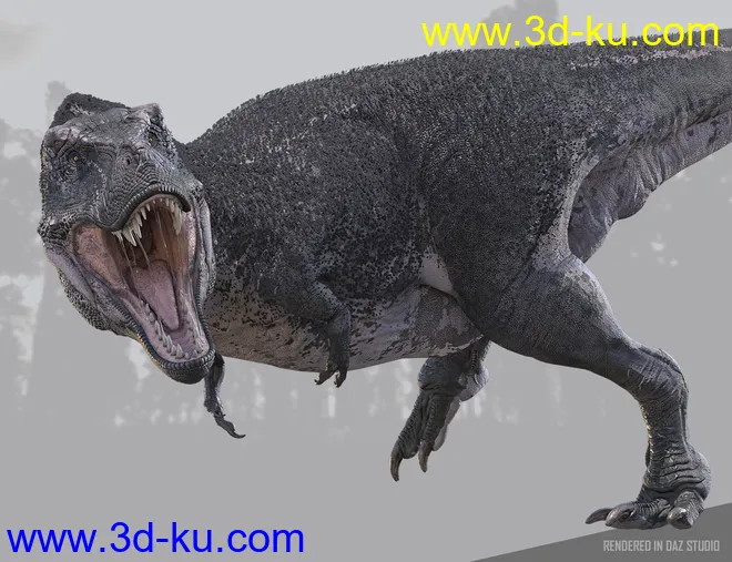 Tyrannosaurus Rex 3模型的图片13