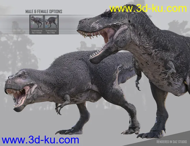Tyrannosaurus Rex 3模型的图片14