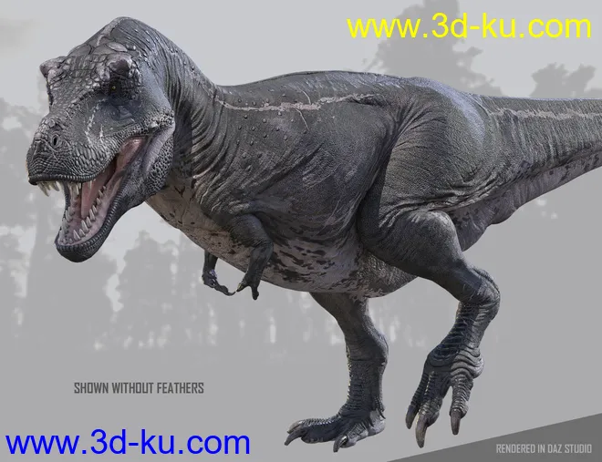 Tyrannosaurus Rex 3模型的图片16