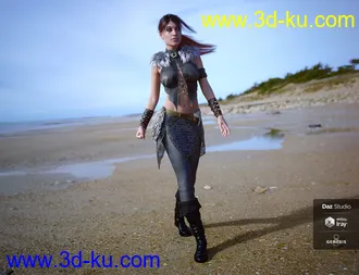 UltraHD IRAY HDRI With DOF - Winter Beaches 2模型的图片6