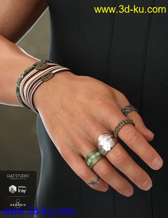 Unisex Jewelry for Genesis 8 Male(s) & Female(s)模型的图片8