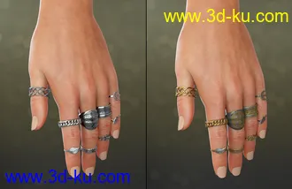 Unisex Jewelry for Genesis 8 Male(s) & Female(s)模型的图片16