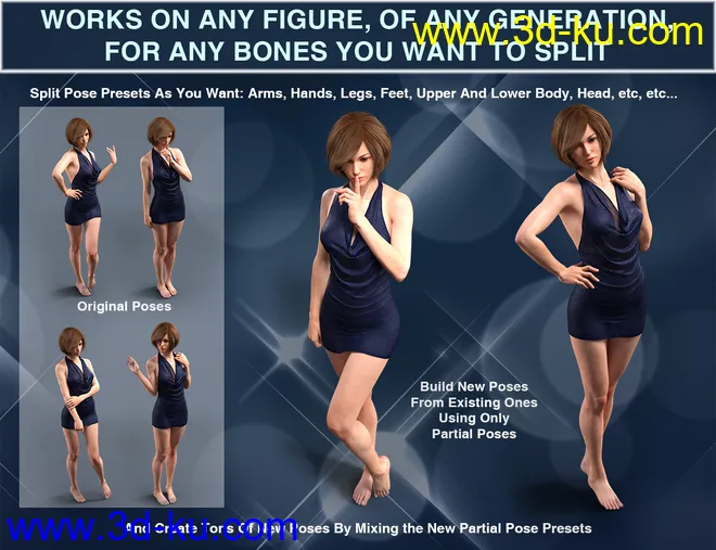 Universal Pose Splitter模型的图片3