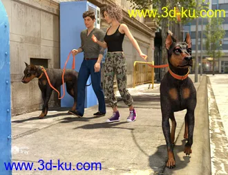 3D打印模型Walk the Dog 8 Poses for Genesis 8的图片