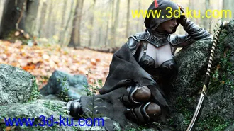 3D打印模型Wind Warrior Outfit Textures的图片