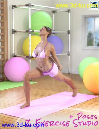 3D打印模型Z Exercise Studio and Poses的图片