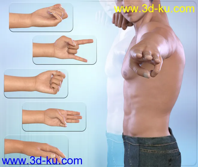 Z Hand In Need - Hand Poses for Genesis 3 Male and Female模型的图片4
