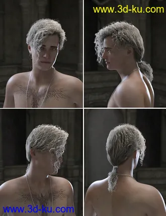3D打印模型Acher Ponytail Hair for Genesis 8 Male(s) and Female(s)的图片