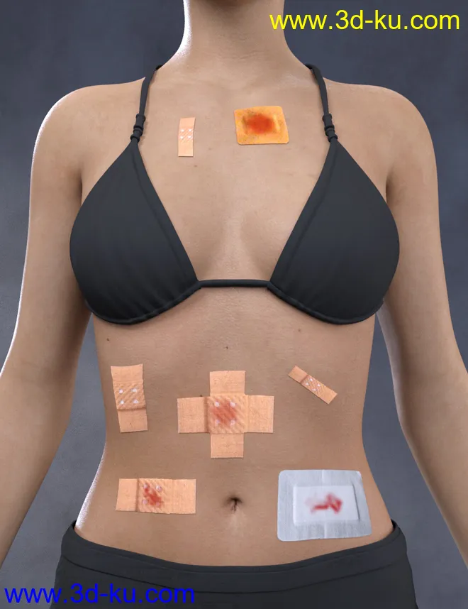 Adhesive Bandages for Genesis 3 and 8 Female(s)模型的图片3