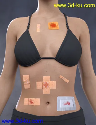 3D打印模型Adhesive Bandages for Genesis 3 and 8 Female(s)的图片