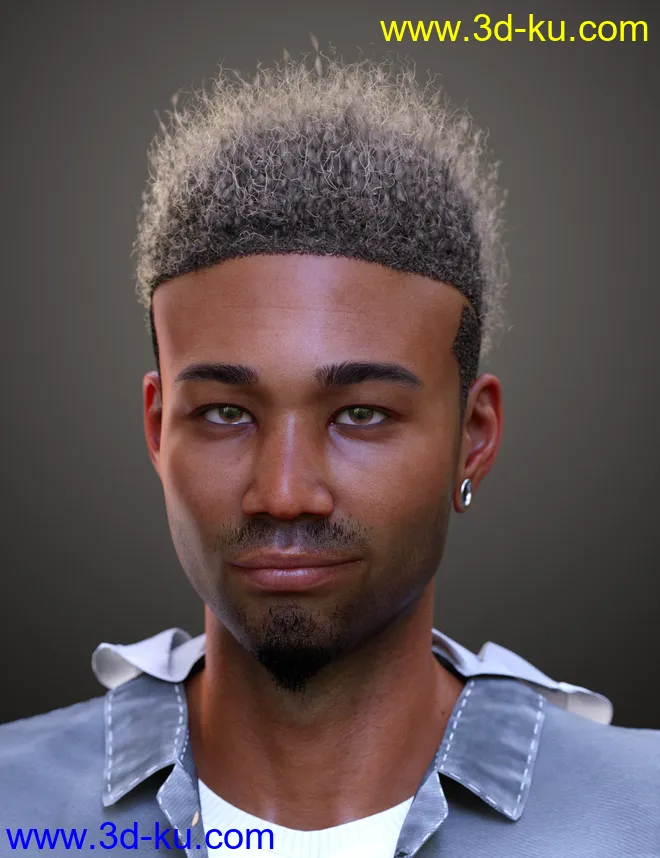 Afro Fade Hair for Genesis 3 and 8模型的图片2