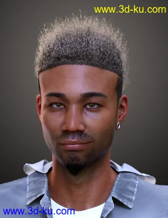 3D打印模型Afro Fade Hair for Genesis 3 and 8的图片