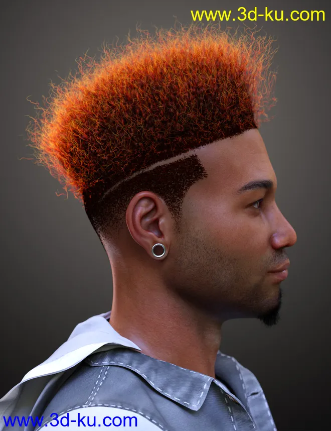 Afro Fade Hair for Genesis 3 and 8模型的图片3