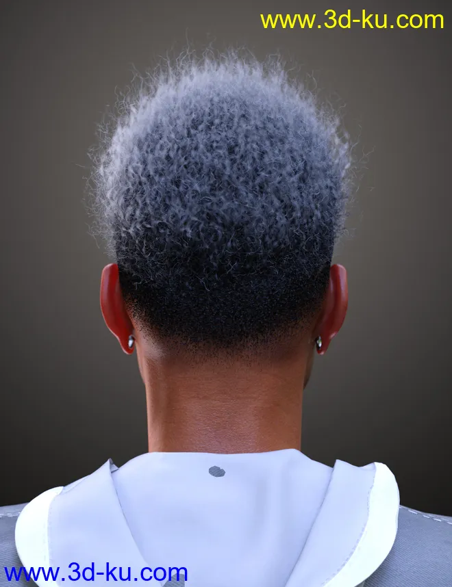 Afro Fade Hair for Genesis 3 and 8模型的图片4