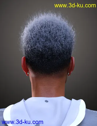3D打印模型Afro Fade Hair for Genesis 3 and 8的图片