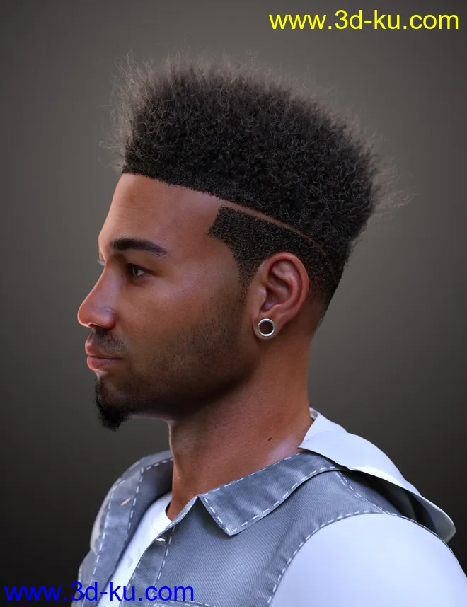 Afro Fade Hair for Genesis 3 and 8模型的图片5