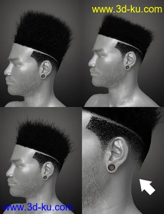 3D打印模型Afro Fade Hair for Genesis 3 and 8的图片