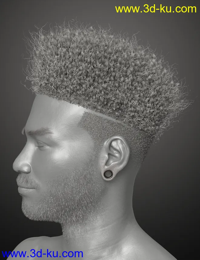 Afro Fade Hair for Genesis 3 and 8模型的图片10