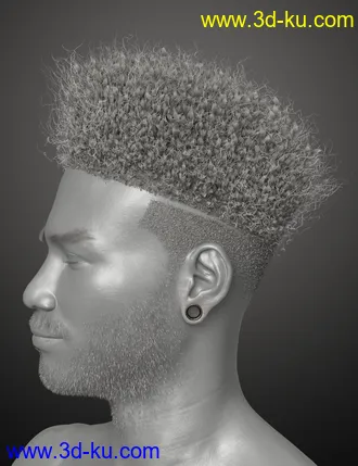 3D打印模型Afro Fade Hair for Genesis 3 and 8的图片