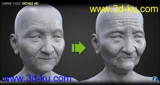 Aging Face Details HD for Genesis 3 and 8 Female(s)模型的图片17