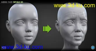 3D打印模型Aging Face Details HD for Genesis 3 and 8 Female(s)的图片