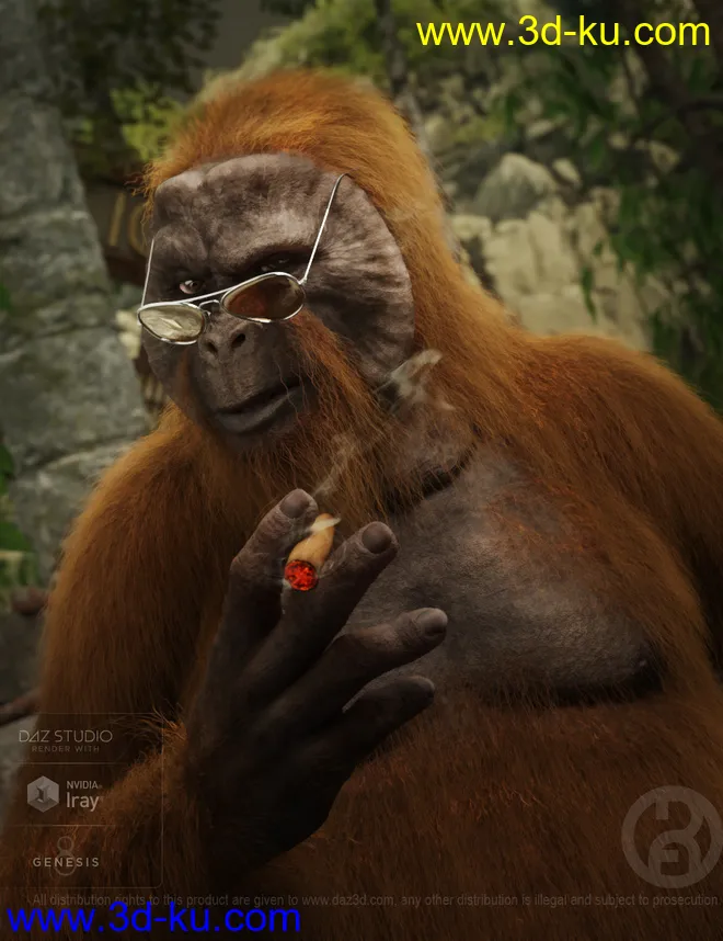 Ape World Orangutan with dForce Hair for Genesis 8 Male模型的图片1