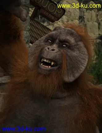 3D打印模型Ape World Orangutan with dForce Hair for Genesis 8 Male的图片