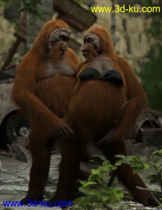 3D打印模型Ape World Orangutan with dForce Hair for Genesis 8 Male的图片