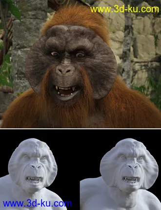 3D打印模型Ape World Orangutan with dForce Hair for Genesis 8 Male的图片