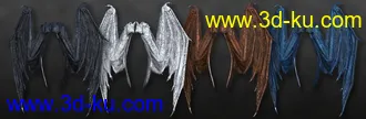 3D打印模型Arki's Wings的图片
