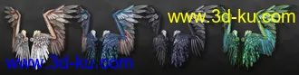 3D打印模型Arki's Wings的图片