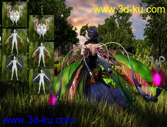 Arki's Wings模型的图片14