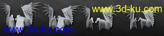 3D打印模型Arki's Wings的图片